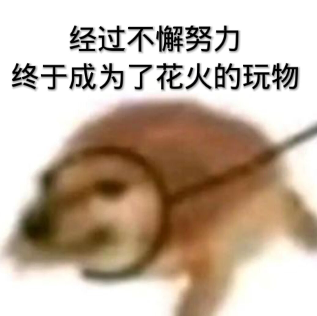 经过不懈努力，终于成为了花火的玩物